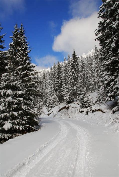 Snow mountain road stock photo. Image of road, landscape - 19784258