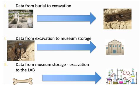 The 2nd VRE Workshop: Ancient DNA and Environmental Data and Research – ARIADNE PLUS