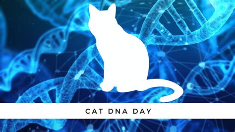 Cat DNA Day: What Could Your Cat's DNA Tell You?