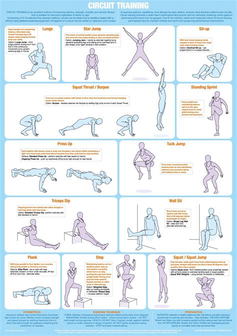 Circuit Training Exercise Poster | ubicaciondepersonas.cdmx.gob.mx