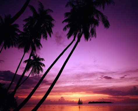 🔥 [41+] Free Sunset Tropical Island Wallpapers | WallpaperSafari