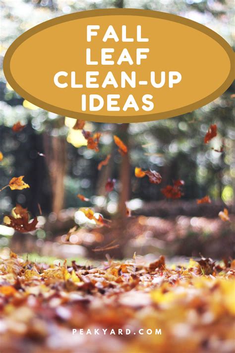 Leaf Clean Up Options for your Yard - Peak Yard | Leaf clean up, Leaves, Clean up