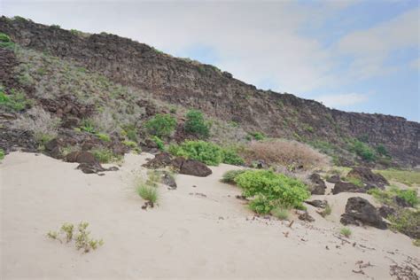 170+ Djibouti Beaches Stock Photos, Pictures & Royalty-Free Images - iStock