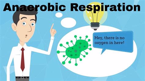 Aerobic Respiration And Anaerobic Respiration Diagrams,, 48% OFF