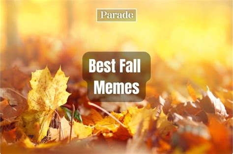 39 Best Fall Memes for a Laugh - Parade