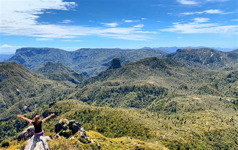 The Pinnacles Walk: A Great Day or Overnight Hike in Coromandel