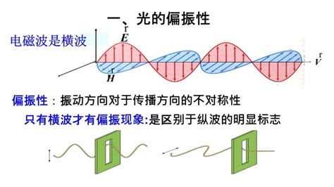 2021-2022学年高二物理竞赛课件：光的偏振性和反射和折射光的偏振-教习网|课件下载