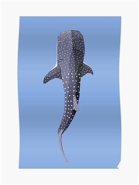 Whale Shark Vector at Vectorified.com | Collection of Whale Shark ...