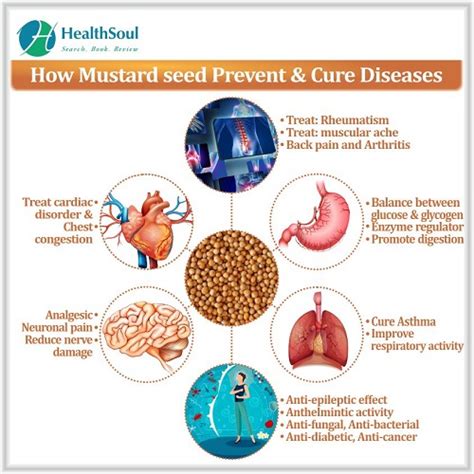 Mustard Seed Benefits - Healthsoul