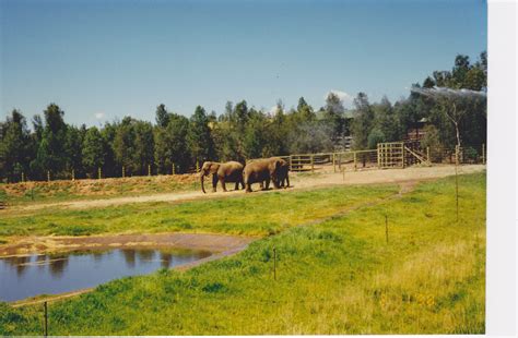 Dubbo Zoo, New South Wales, Australia | New south wales, Australia, South wales