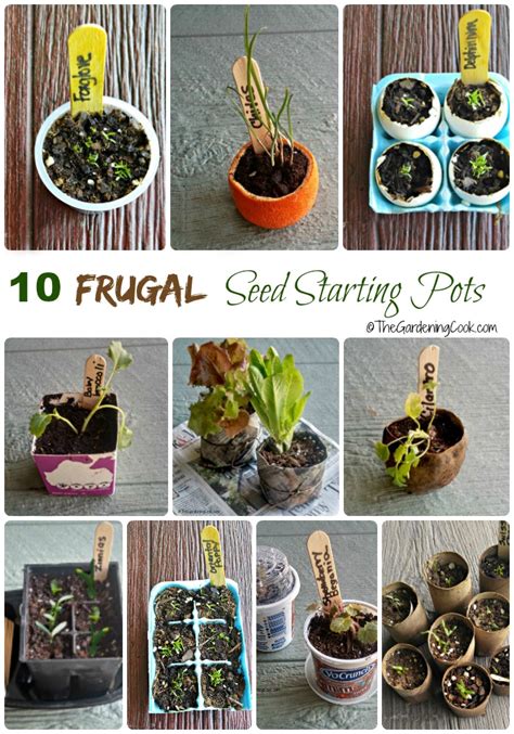 Frugal Seed Starting Pots and Containers - 10 Creative Ideas