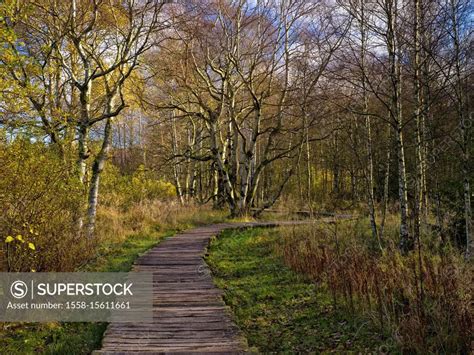 Germany, Bavaria, Rhön Biosphere Reserve, UNESCO biosphere reserve ...