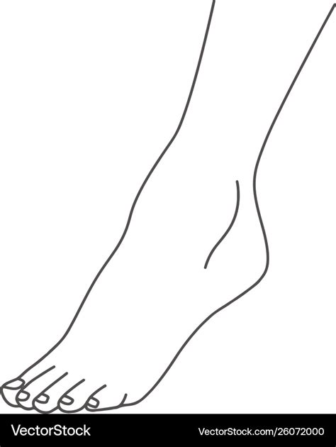 Foot Outline Drawing