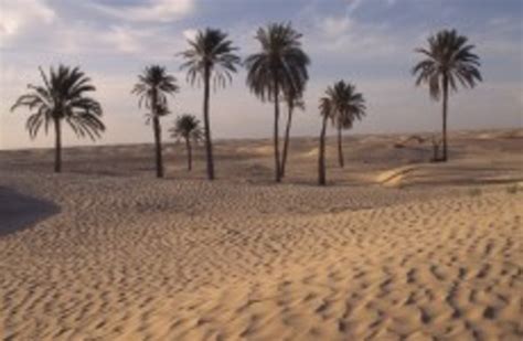 48 children die of thirst in Niger desert · TheJournal.ie