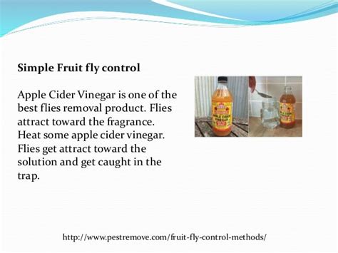 Fruit fly control methods