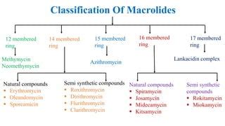 Macrolide antibiotics | PPT