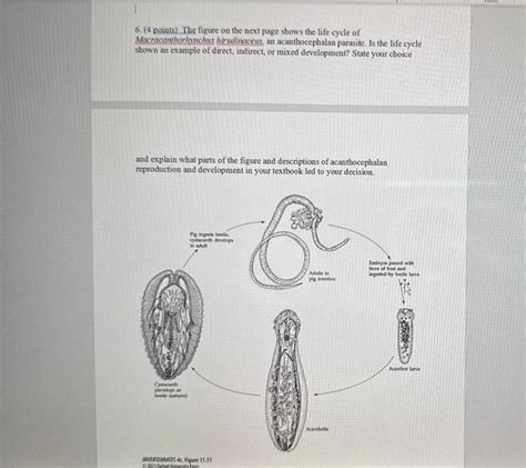 Solved 6. (4 points) The figure on the next page shows the | Chegg.com