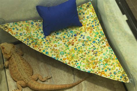 Bubbles Hammock. Bearded Dragon Hammock With lounge - Etsy