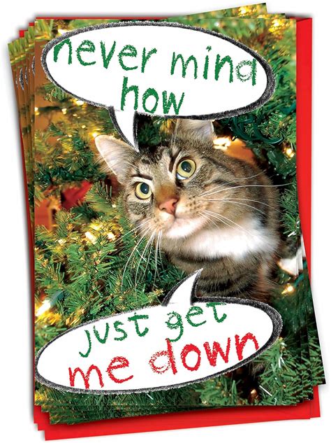 Amazon.com : NobleWorks - 12 Funny Cat Christmas Cards with Envelopes ...