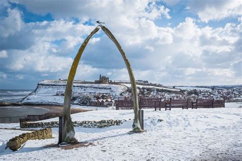 Snow in Yorkshire: 20 beautiful photos as the region is covered in a blanket of snow