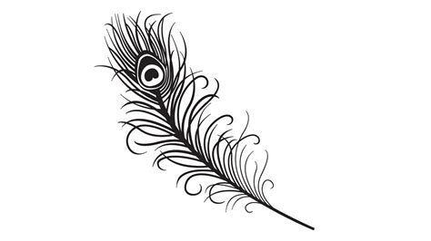 Peacock Feather Tattoo Outline