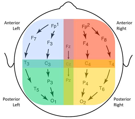 Longitudinal Bipolar Montage set to the 19 original EEG channels and... | Download Scientific ...