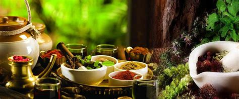 Ayurveda medicine | Ayurvedic treatment in Kerala | Ayurpalana