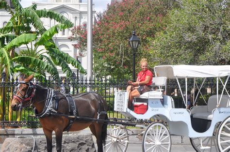 Private French Quarter Tour | Royal Carriage Rides | New orleans travel ...