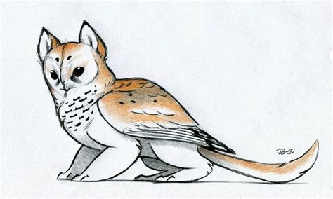 Owlcat | Creature drawings, Art, Creature art