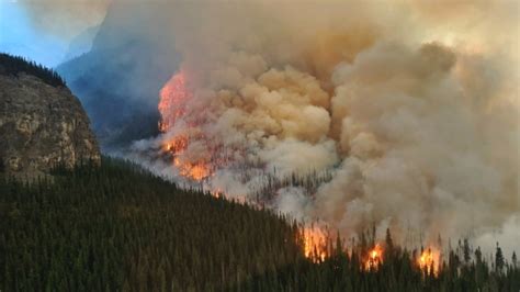 How weather, COVID-19 spared Canada from wildfires like those in the U.S. | CTV News