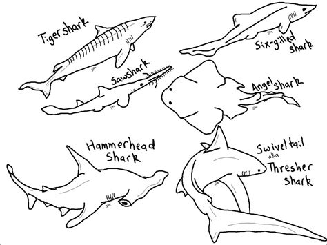 Shark Coloring Pages - ColoringBay