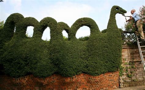 17 Best images about Terrific Topiary Animals on Pinterest | Gardens, Topiary plants and Hedges