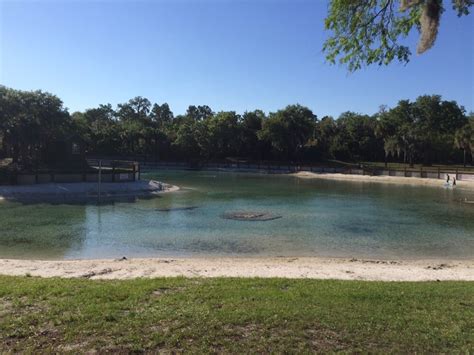 Lithia Springs Park - 18 Photos - Parks - Lithia - Lithia, FL - Reviews ...