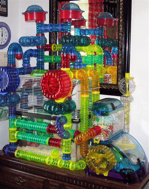 Choosing Hamster Cages and Modular House Habitats