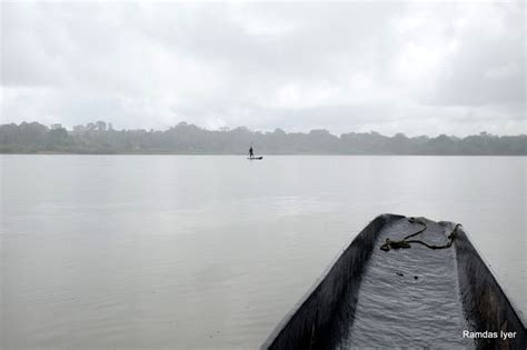 Crocodile initiation ceremony, Sepik River, Papua New Guinea - Best of ...