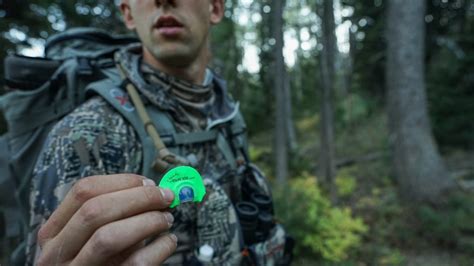 Elk Calling Setup and Tactics | BlackOvis MTN Journal