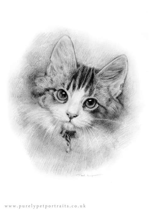 Pet Portraits - Pet Artist based in Kent UK - Galleries — Purely Pet ...