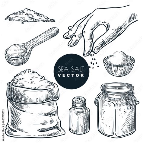 Sea salt sketch vector illustration. Natural ingredient, seasoning ...