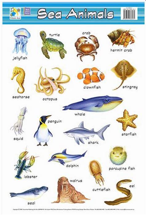 SEA ANIMALS CHART - Suva Book Shop