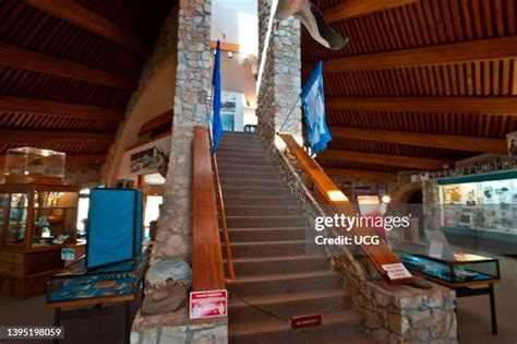 Pyramid Lake Museum Photos and Premium High Res Pictures - Getty Images