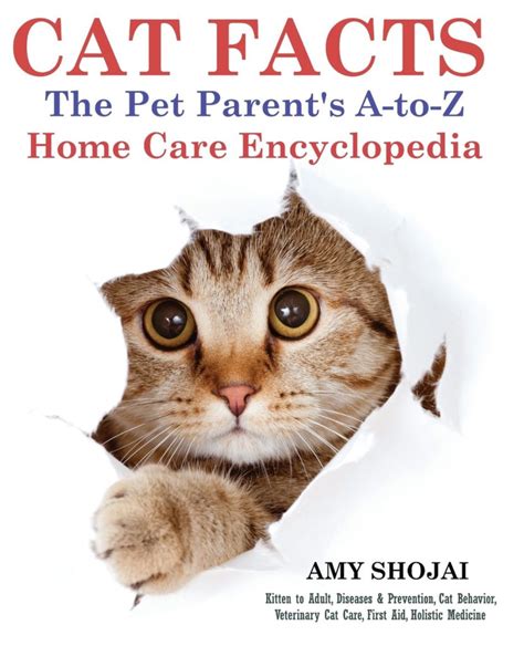 Behavior and Training Books For Cat Owners - JammieCat.com