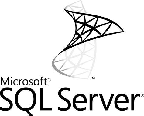 Microsoft SQL Server Logo Black and White – Brands Logos