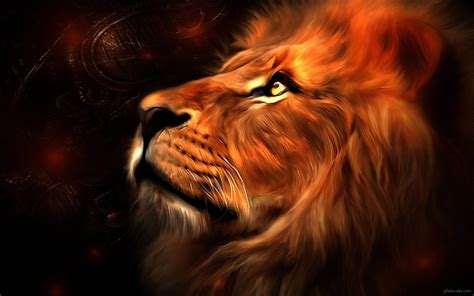 🔥 [50+] Lion Art Wallpapers | WallpaperSafari