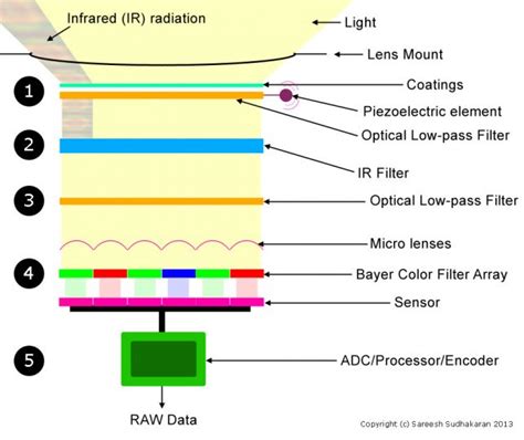 The Complete Guide to In-Camera Filters