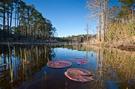 Topsail Hill Preserve State Park | GFBWT