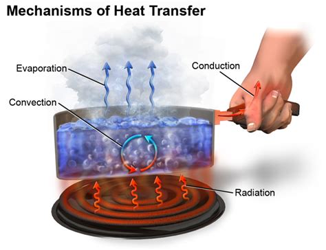 Everyday Examples of Conduction: Heat Transfer