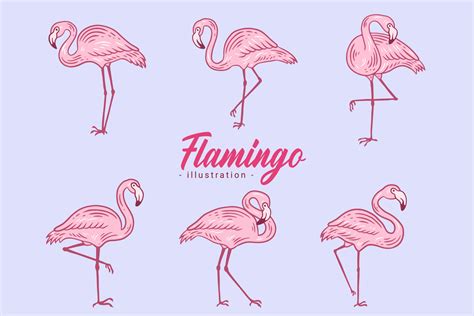 Set of Cute Flamingo pink Bird flamingos Aesthetic Tropical Exotic Hand ...