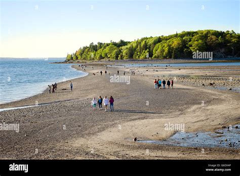 Bar Island trail sandbar, Bar Harbor, Maine Stock Photo - Alamy