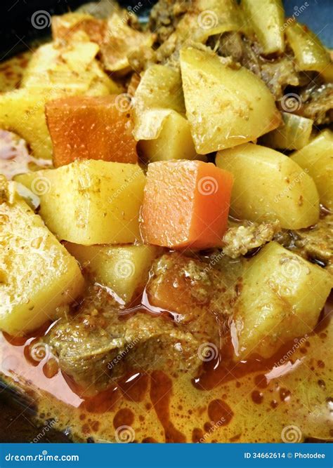 Indian curry and spices. stock photo. Image of curry - 34662614