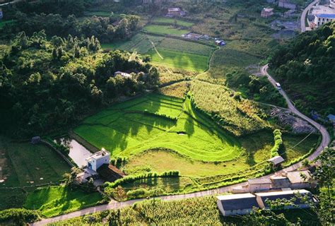 Aerial View of Green Grass Field · Free Stock Photo